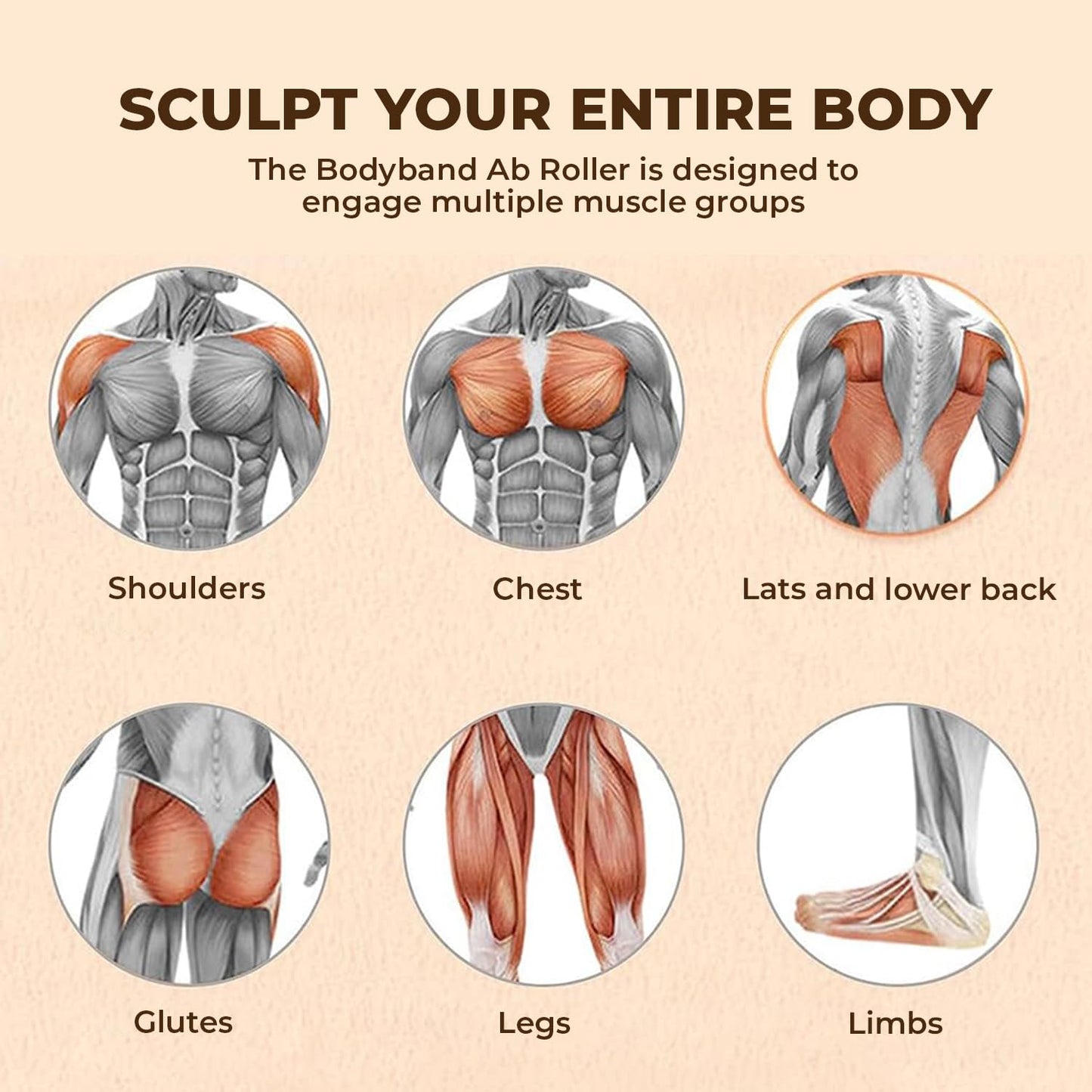 FlexRoller For Abs & Legs