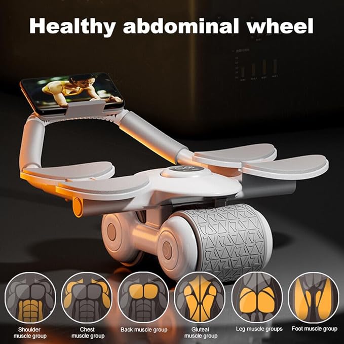 FlexRoller For Abs & Legs