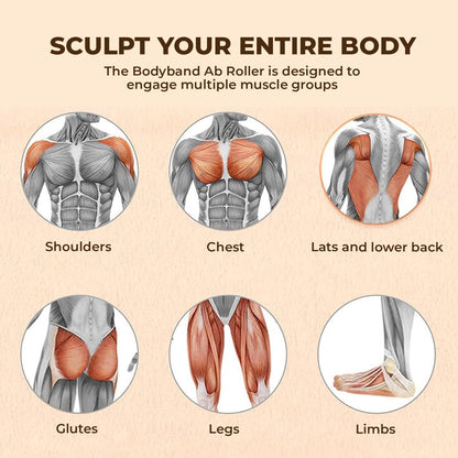 FlexRoller For Abs & Legs